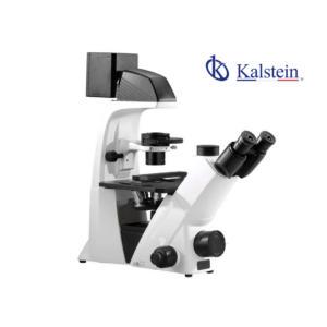 Inverted Biological Phase Contrast Microscope YR06682